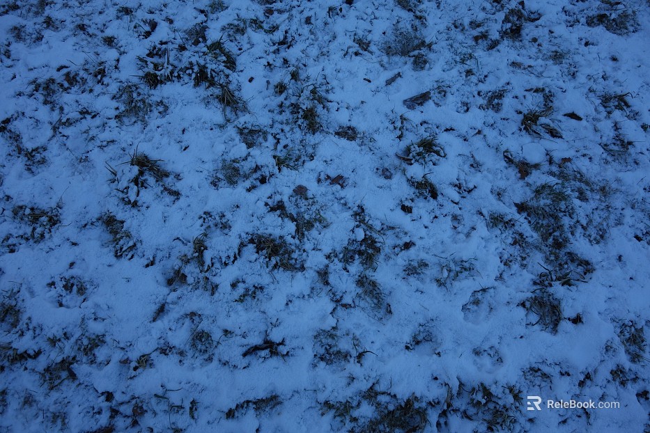 Snow texture