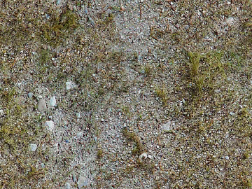 Gravel texture (ID:ffajg01679)