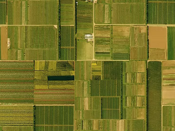 Farmland texture (ID:ffaeg79580)
