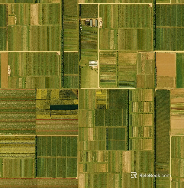 Farmland texture