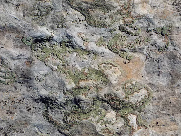 Rock 3d model