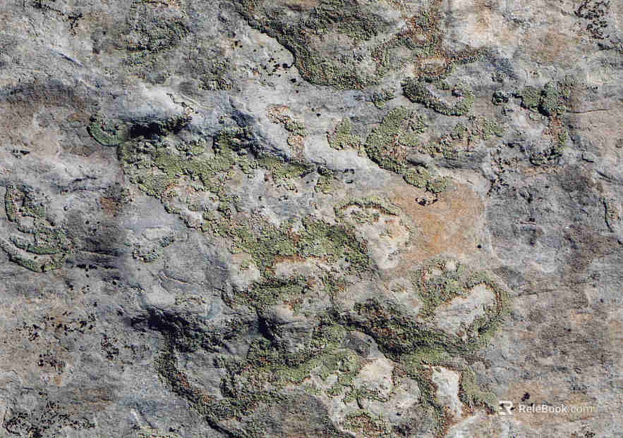 Rock texture