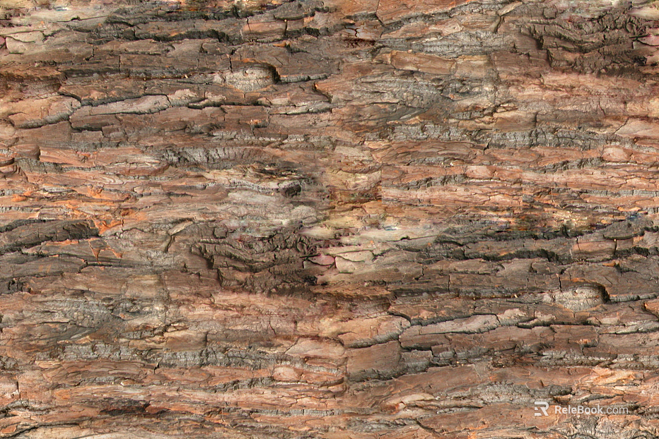 bark texture