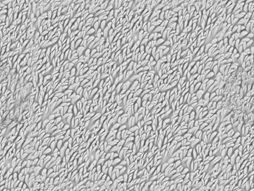 Black and White Bump texture (ID:ffacg08210)