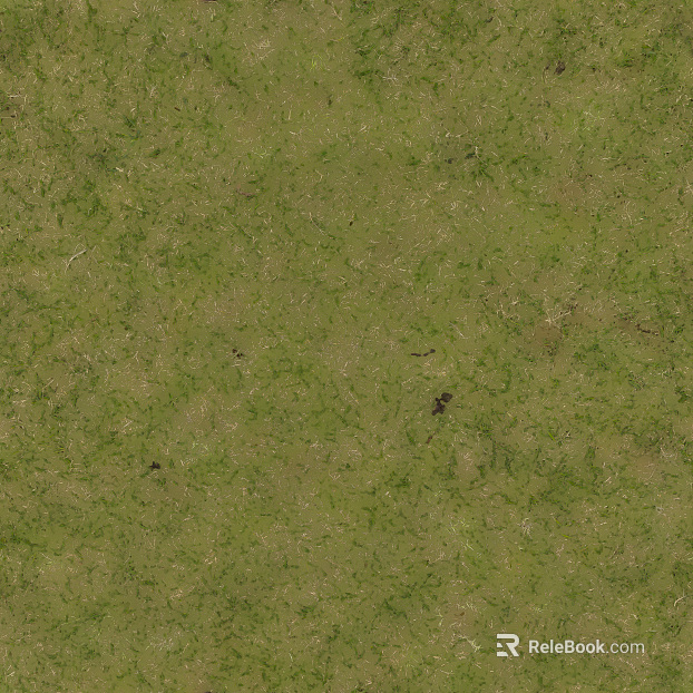 Turf texture