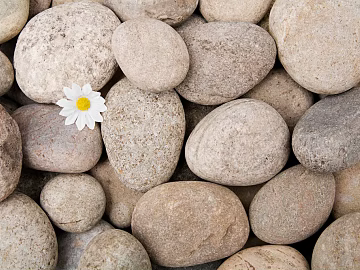 Pebbles texture (ID:ffajg78951)