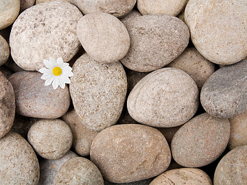 Pebbles texture (ID:ffajg78951)
