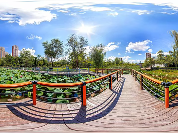 Park Lotus Pond Bridge Scenery Sunny Day HDR texture (ID:ffach200366)