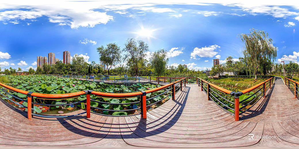 Park Lotus Pond Bridge Scenery Sunny Day HDR texture