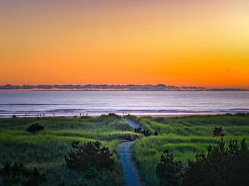 Wild Scenery texture (ID:ffach210774)