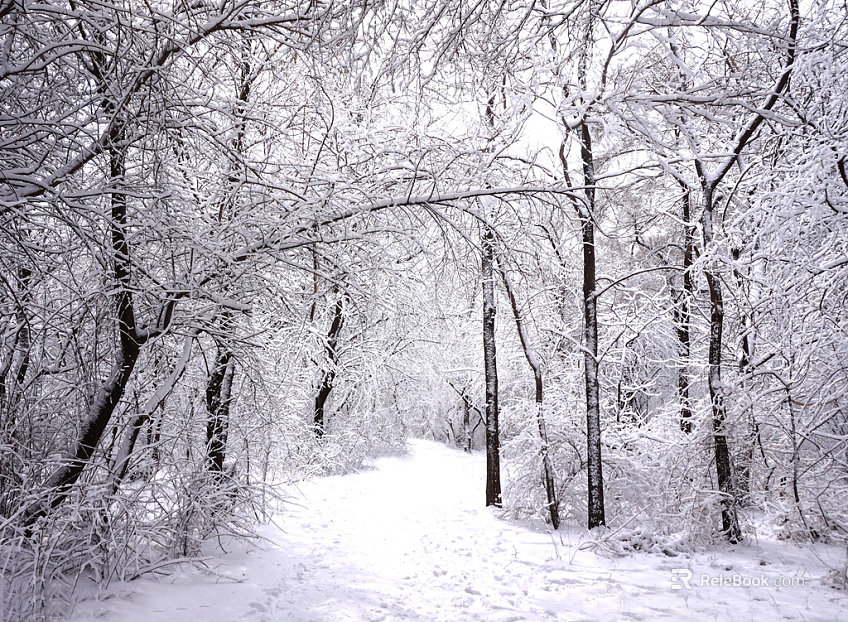 Snow texture