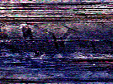 old wood texture (ID:ffacg07414)