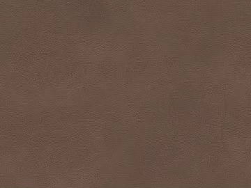 fine grain leather texture (ID:ffacg31139)