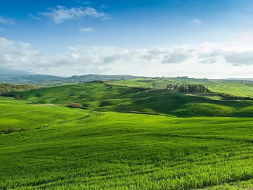 Wild Scenery texture (ID:ffaeg49618)