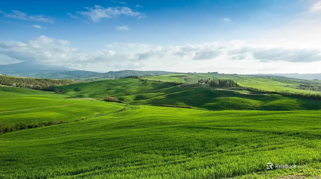 Wild Scenery texture