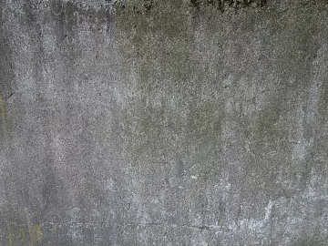 Cement wall exterior plaster texture (ID:ffaeg04463)