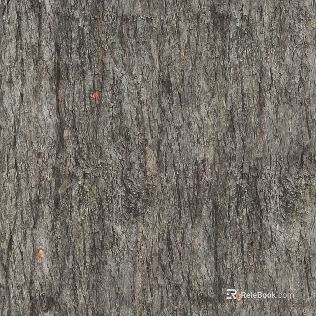 bark texture