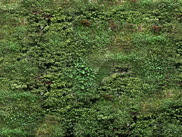 Plants texture (ID:ffaag92882)
