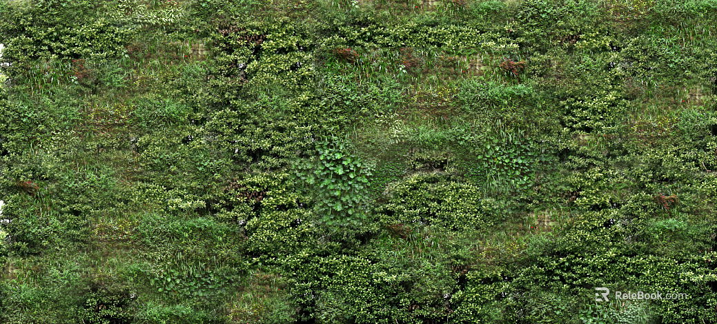 Plants texture