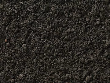 Mud texture (ID:ffadg68874)