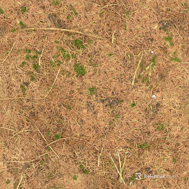 Dead Yellow Sod Outdoor Ground texture