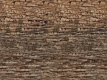 bark texture (ID:ffadf7397)