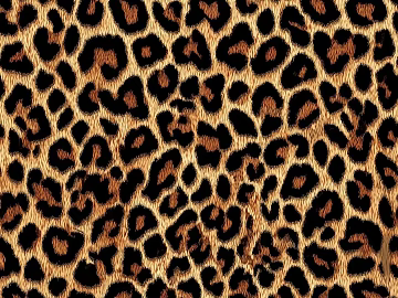 Deep beige leopard texture (ID:ffaeh329756)
