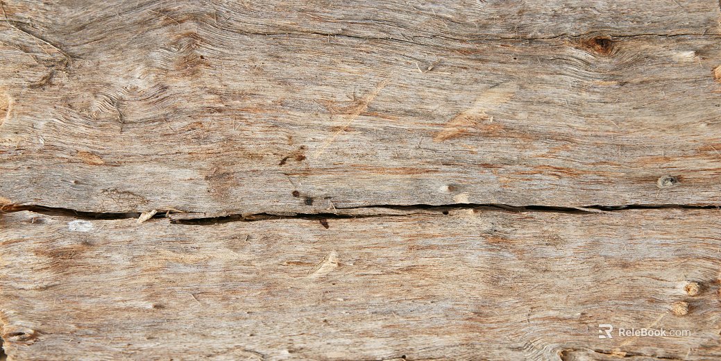 bark texture