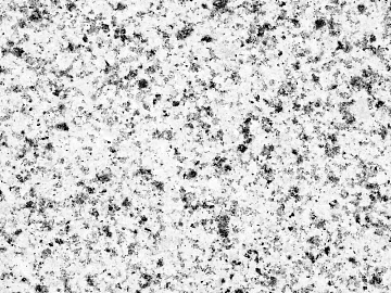 Granite Litchi Surface Sesame Ash Dump Granite 3d model