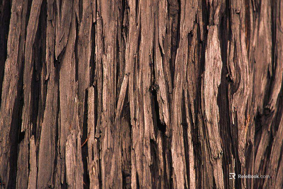 bark texture