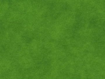Grassland texture (ID:ffaeg03944)