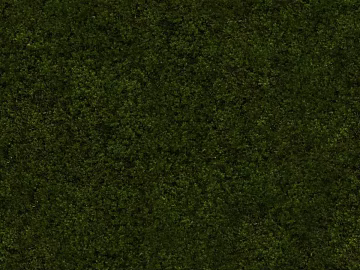 moss texture (ID:ffagg16035)