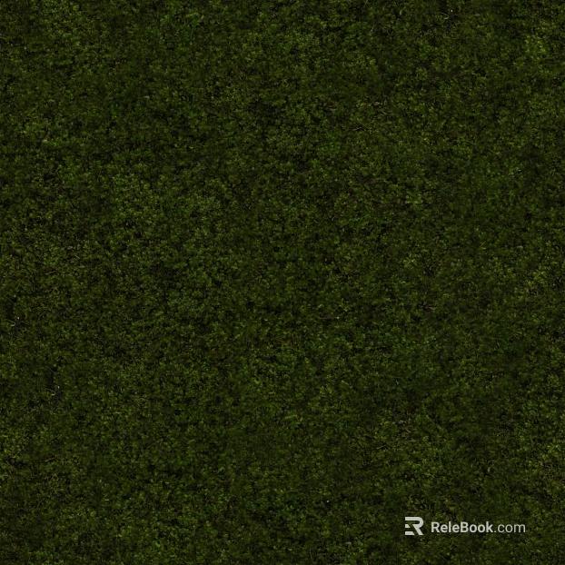 moss texture