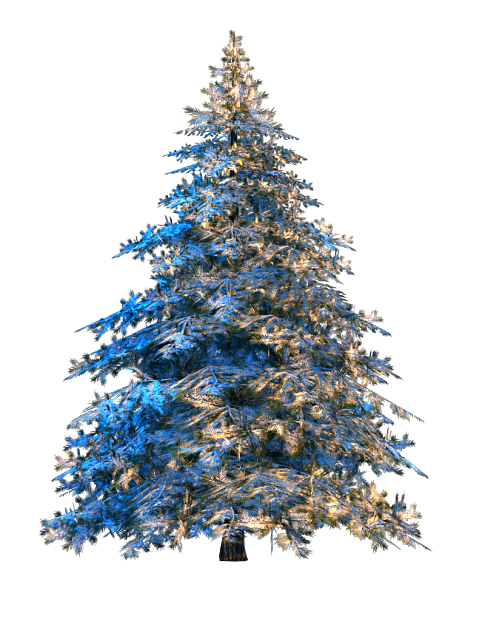 Tree texture