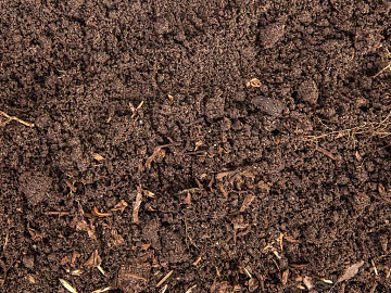 Mud 3d model