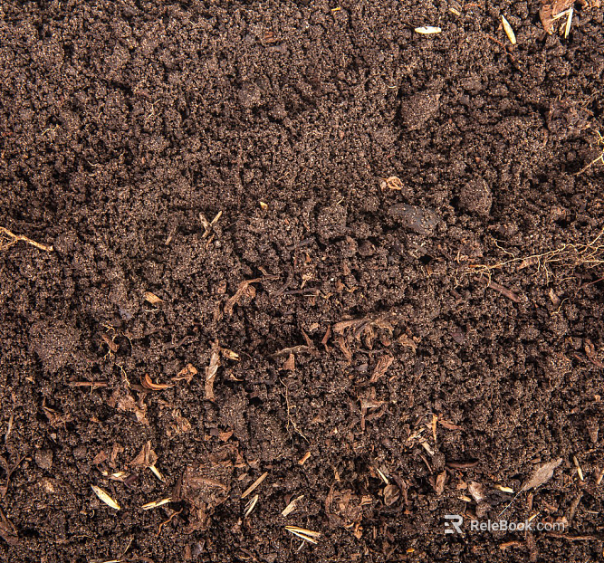 Mud texture