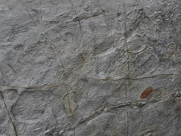 Rock texture (ID:ffabg08332)