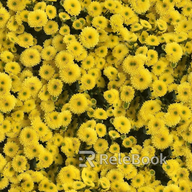 Flowers texture