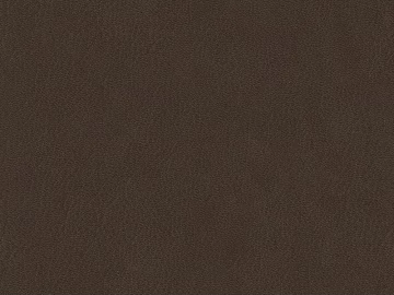 fine grain leather texture (ID:ffajg97334)