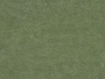 Turf texture (ID:ffajg66394)
