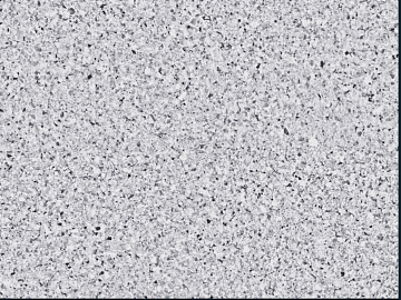 Granite Litchi Surface Sesame Ash Dump Granite texture (ID:ffajg38354)