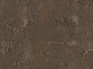bark texture (ID:ffagg55868)