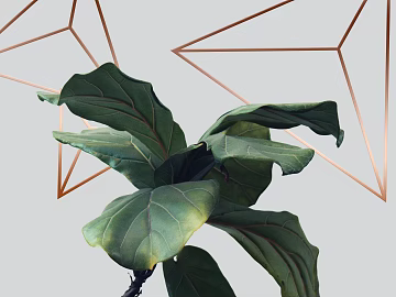 Plant painting texture (ID:ffaeg33762)