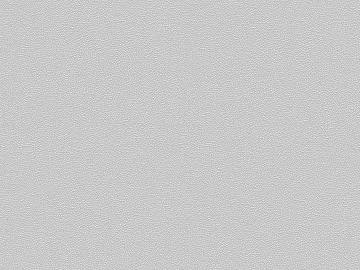Black and white leather texture (ID:ffacg27769)