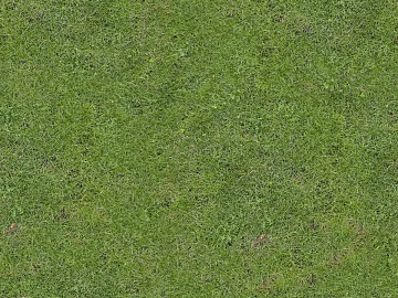 ground turf lawn greening soil ground texture (ID:ffach058456)