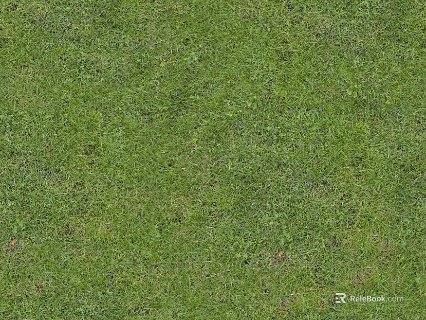 ground turf lawn greening soil ground texture