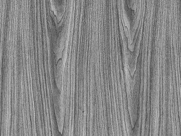 Black and white wood grain texture (ID:ffagg16729)