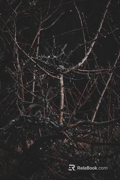 Plants texture