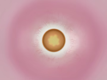 Pupil texture (ID:ffacf3584)