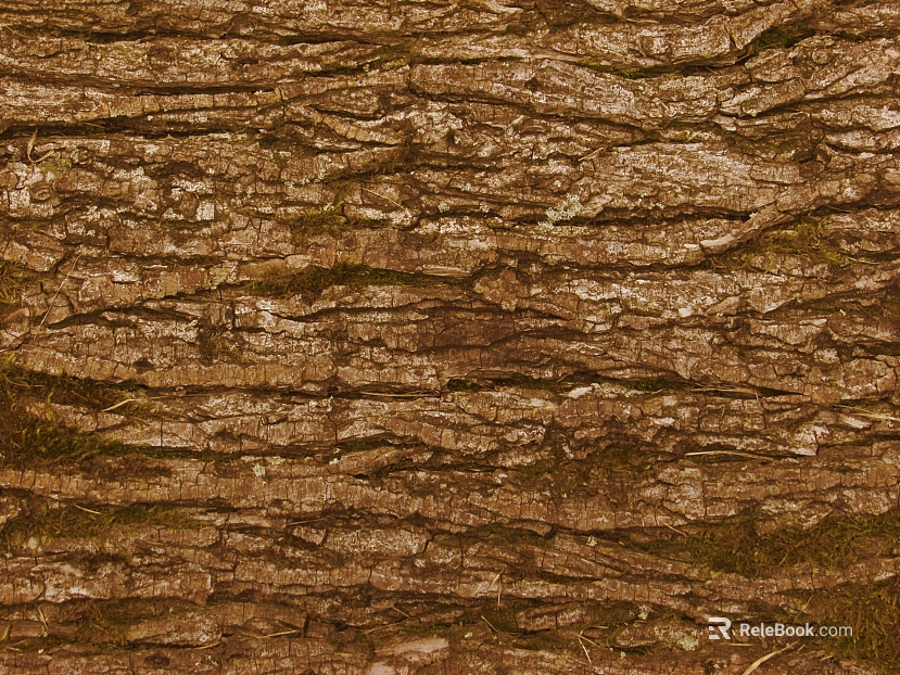 bark texture